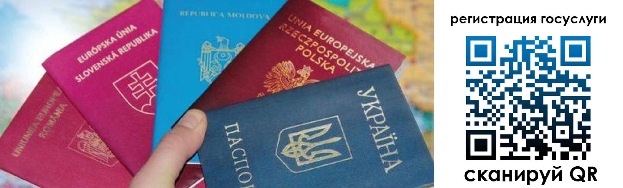 прописка гарантия в Калуге